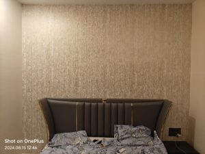 WhatsApp Image 2025-05-11 at 4.35.52 PM